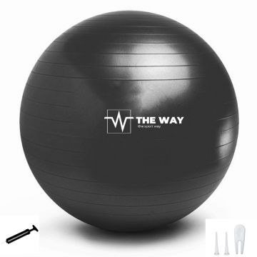 Minge fitness ANTI BURST, pompa inclusa, 55 cm, negru, TheWay Fitness