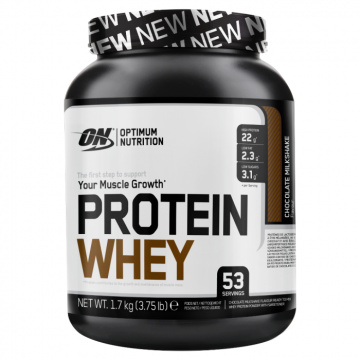 ON Protein Whey 1.7 kg
