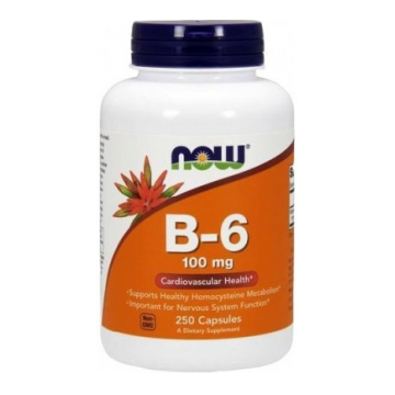Now Vitamin B-6 100 mg 250 caps