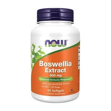 Now Boswellia Extract 500mg 90 softgels