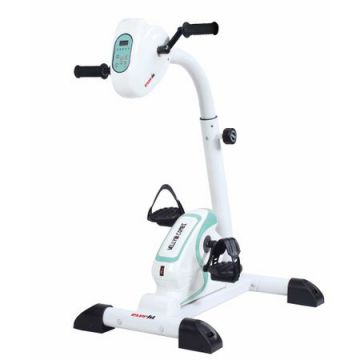 Bicicleta recuperare EVERFIT WELLY E COMBI