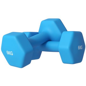 SPORTNOW Set de 2 Greutăți, Gantere Pereche cu Prindere Antiderapantă pentru Antrenament, 6 kg, 22x9x9 cm, Albastru Deschis | Aosom Romania