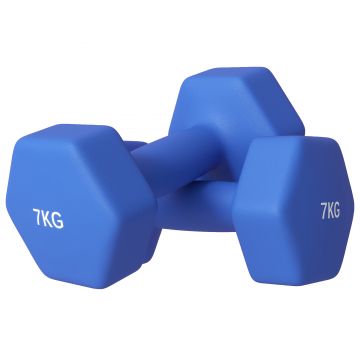 SPORTNOW Set de 2 Greutăți Hexagonale, Set de Gantere cu Prindere Antiderapantă pentru Antrenament Acasă, 24x9x9 cm, Albastru | Aosom Romania