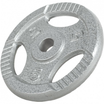 Disc din fontă , Argintiu/Negru, 1,25-20 Kg Gorilla Sports