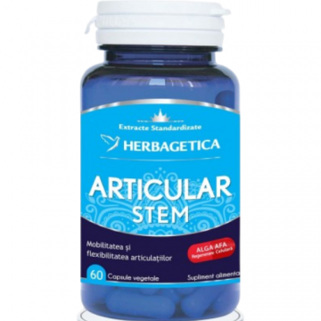 Articular+Stem 60cps Herbagetica