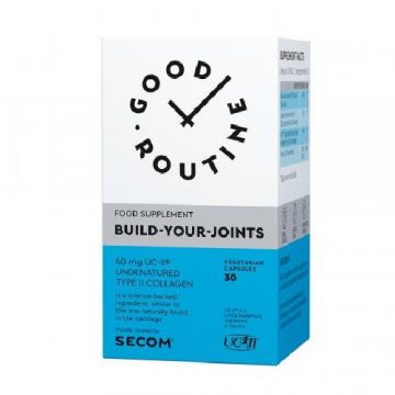 Build-Your-Joints  30cps, Secom