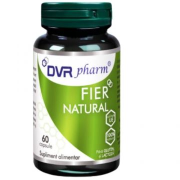 Fier Natural 60cps Dvr