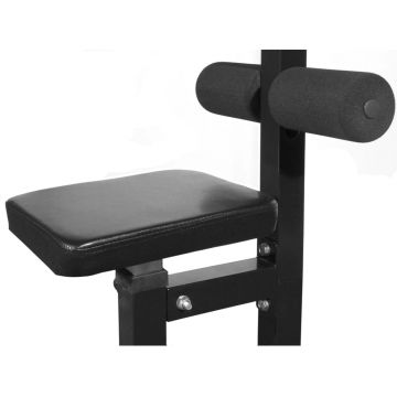 vidaXL Aparat fitness multifuncțional fără greutăți