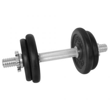 Gantera Lifefit 529FCIN102, 10kg, set 4 discuri