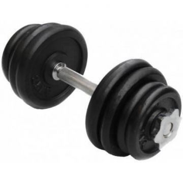 Gantera Lifefit 529FCIN103, 10kg, set 6 discuri