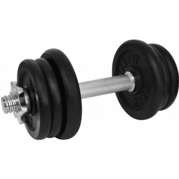 Gantera reglabila Lifefit 529FCIN133, 13kg, set 6 discuri