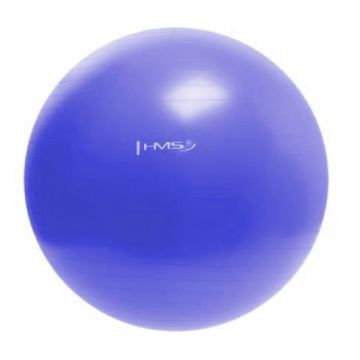 Minge fitness pentru gimnastica HMS YB01 55 cm