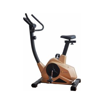 Bicicleta fitness magnetica FitTronic 601B Gold